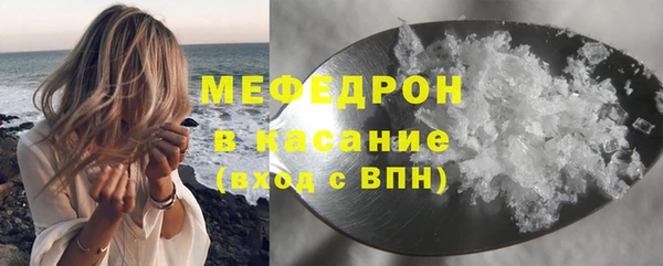 мдпв Вяземский